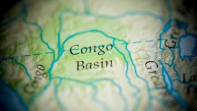 Welcome to Congo Basin