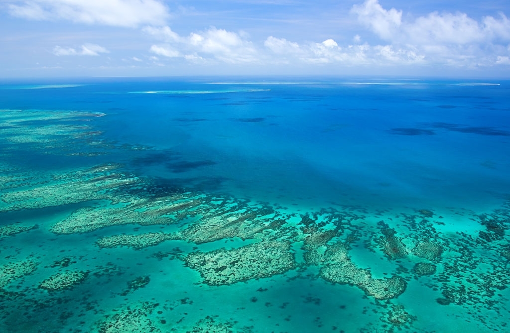 Diminishing reef