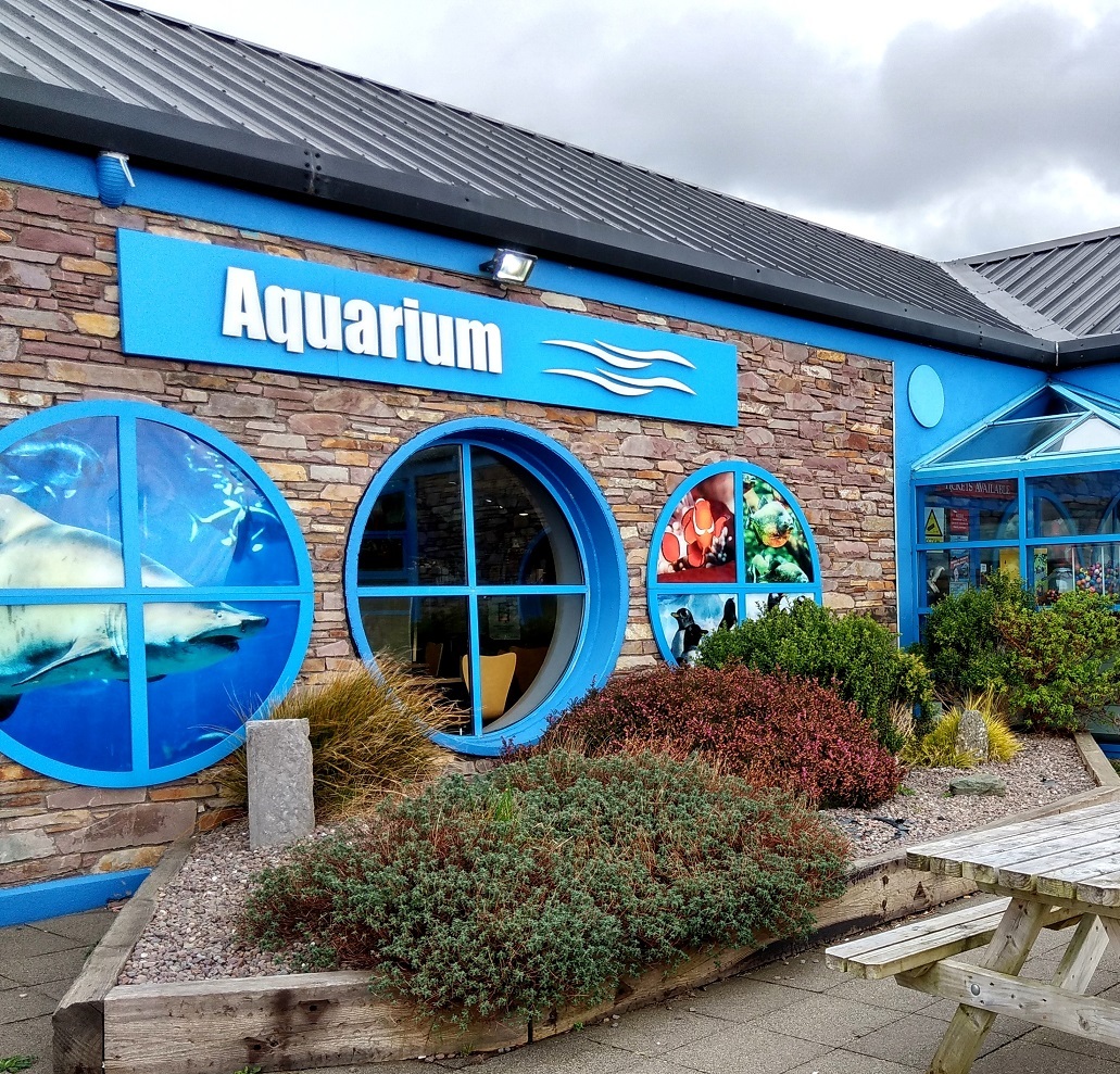 Oceanworld Aquarium in Dingle Bay IRELAND