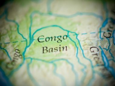 Welcome to Congo Basin