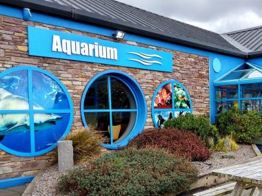 Oceanworld Aquarium in Dingle Bay IRELAND